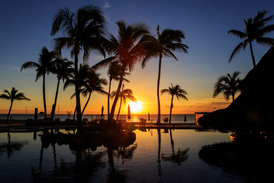 Cabo sunset with pool and palm trees